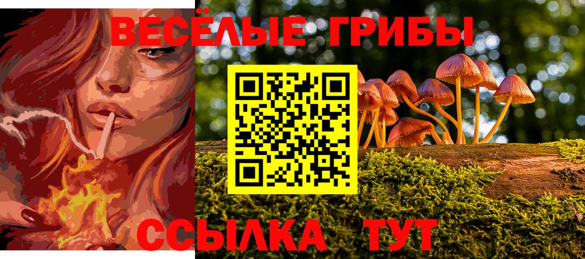 Галлюциногенные грибы мухоморы Всеволожск